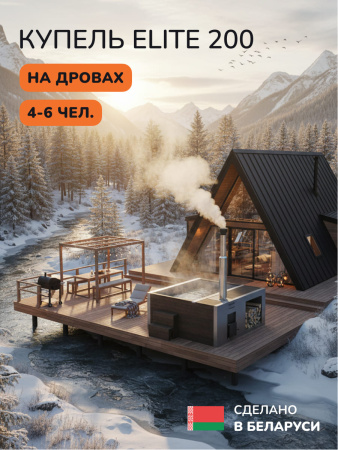 Купель на дровах Scandinaf Elite 200B, 4-6 чел., коричневый, AISI 430, аэромассаж, подсветка