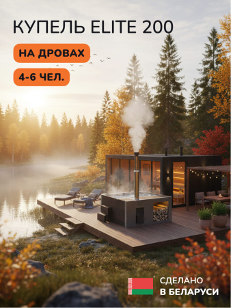 Купель на дровах Scandinaf Elite 200B, 4-6 чел., коричневый, AISI 430, аэромассаж, подсветка