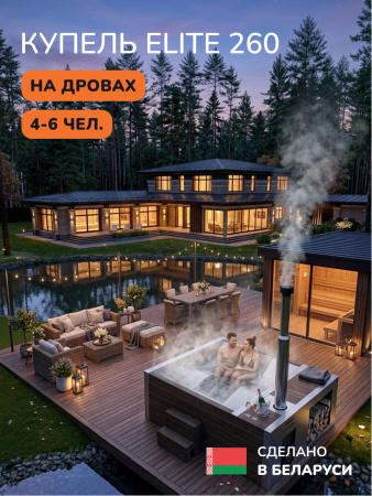 Купель на дровах Scandinaf Elite 260, 4-6 чел., AISI 316L, коричневый, аэромассаж, подсветка